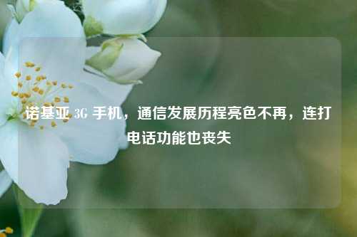 诺基亚 3G 手机，通信发展历程亮色不再，连打电话功能也丧失