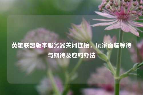 英雄联盟版本服务器关闭连接，玩家面临等待与期待及应对办法