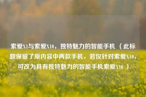 索爱X1与索爱X10,独特魅力的智能手机 (此标题保留了原内容中两款手机,若仅针对索爱X10,可改为具有独特魅力的智能手机索爱X10 )