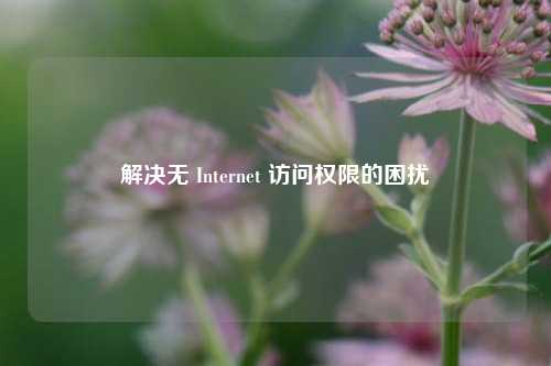 解决无 Internet 访问权限的困扰