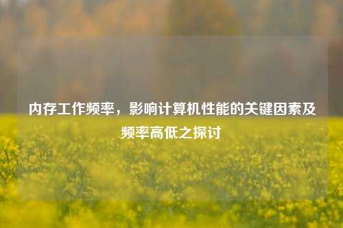 内存工作频率，影响计算机性能的关键因素及频率高低之探讨
