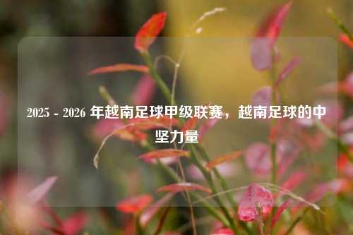 2025 - 2026 年越南足球甲级联赛，越南足球的中坚力量