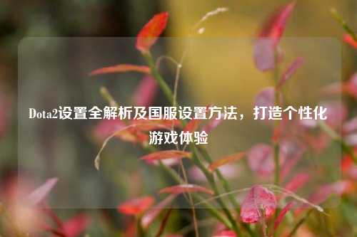 Dota2设置全解析及国服设置方法，打造个性化游戏体验
