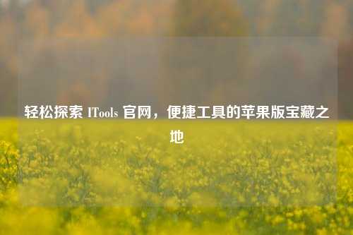 轻松探索 ITools 官网，便捷工具的苹果版宝藏之地