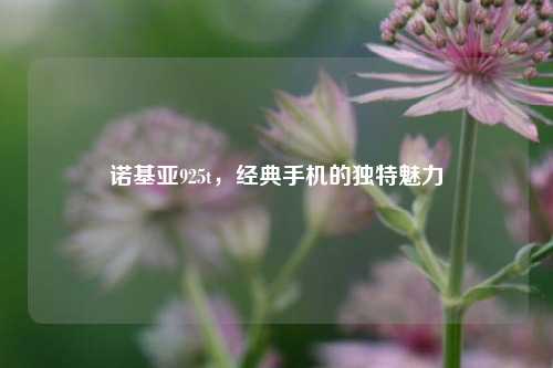 诺基亚925t,经典手机的独特魅力
