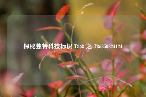 探秘独特科技标识 T868 之 T86850824124