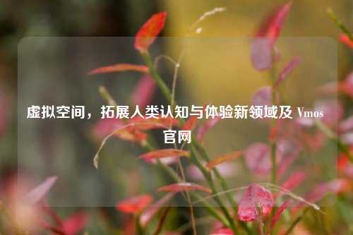 虚拟空间，拓展人类认知与体验新领域及 Vmos 官网