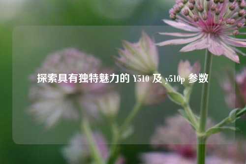 探索具有独特魅力的 Y510 及 y510p 参数
