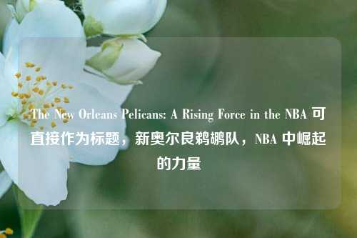 The New Orleans Pelicans: A Rising Force in the NBA 可直接作为标题，新奥尔良鹈鹕队，NBA 中崛起的力量