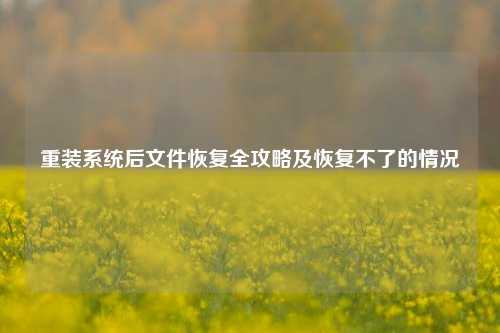 重装系统后文件恢复全攻略及恢复不了的情况