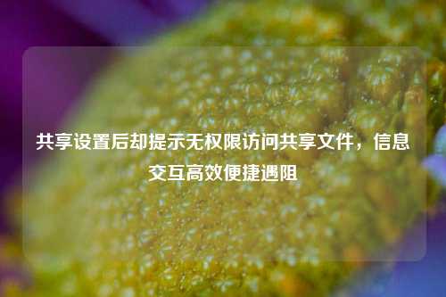 共享设置后却提示无权限访问共享文件，信息交互高效便捷遇阻