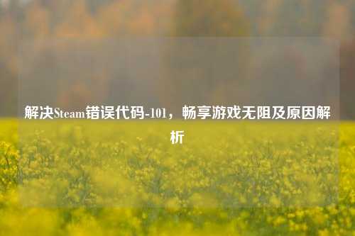 解决Steam错误代码-101，畅享游戏无阻及原因解析