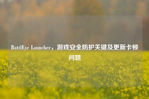 BattlEye Launcher，游戏安全防护关键及更新卡顿问题