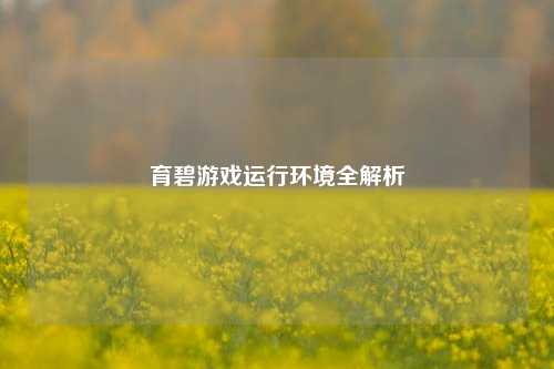 育碧游戏运行环境全解析
