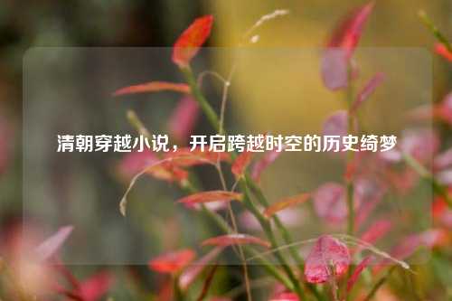 清朝穿越小说，开启跨越时空的历史绮梦