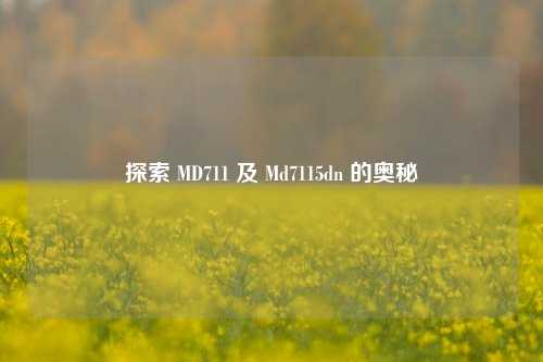 探索 MD711 及 Md7115dn 的奥秘