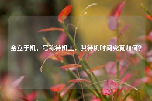 金立手机，号称待机王，其待机时间究竟如何？
