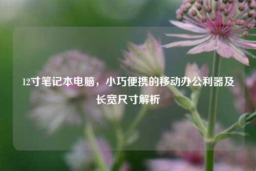 12寸笔记本电脑，小巧便携的移动办公利器及长宽尺寸解析