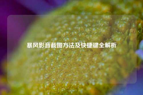 暴风影音截图方法及快捷键全解析
