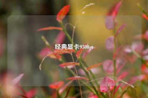 经典显卡9300gt