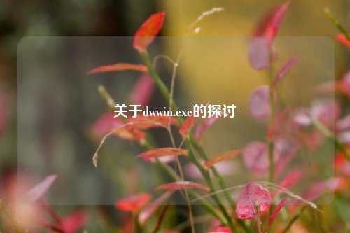 关于dwwin.exe的探讨