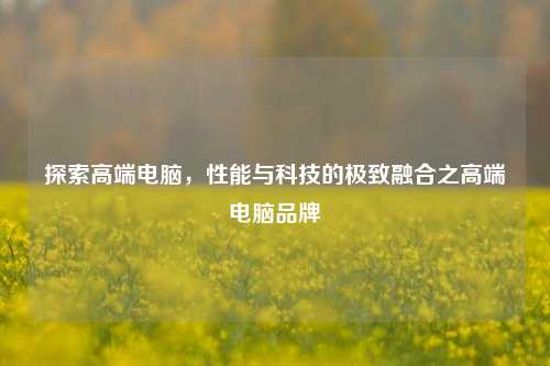 探索高端电脑,性能与科技的极致融合之高端电脑品牌