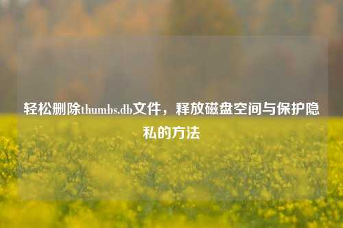 轻松删除thumbs.db文件,释放磁盘空间与保护隐私的方法