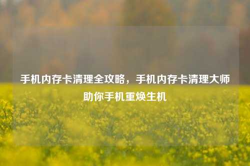 手机内存卡清理全攻略，手机内存卡清理大师助你手机重焕生机