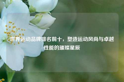 世界运动品牌排名前十，塑造运动风尚与卓越性能的璀璨星辰