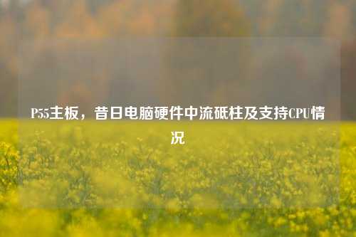 P55主板，昔日电脑硬件中流砥柱及支持CPU情况