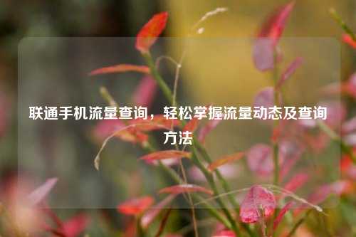 联通手机流量查询，轻松掌握流量动态及查询方法