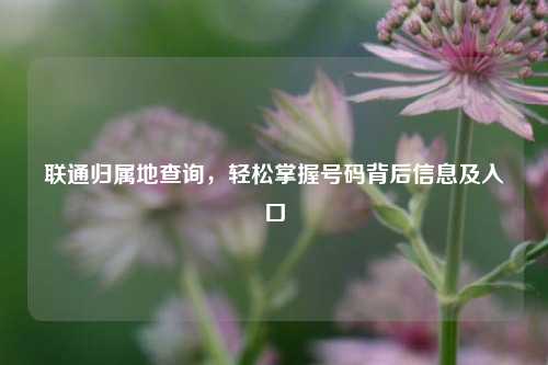 联通归属地查询，轻松掌握号码背后信息及入口