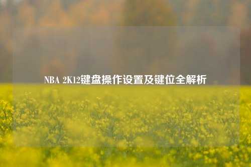 NBA 2K12键盘操作设置及键位全解析