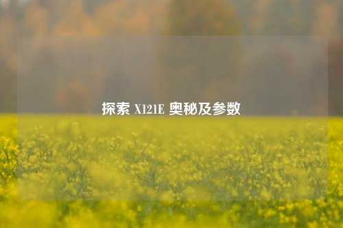 探索 X121E 奥秘及参数