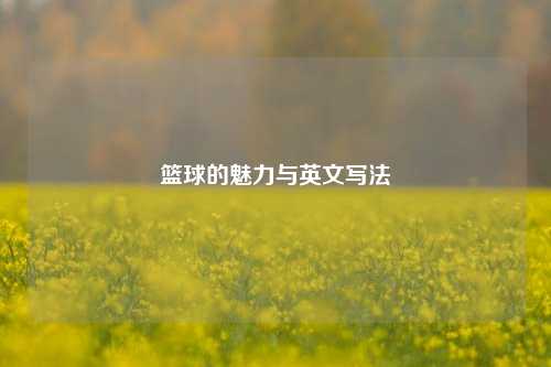 篮球的魅力与英文写法
