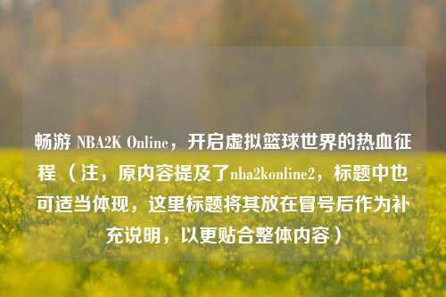 畅游 NBA2K Online，开启虚拟篮球世界的热血征程 （注，原内容提及了nba2konline2，标题中也可适当体现，这里标题将其放在冒号后作为补充说明，以更贴合整体内容）