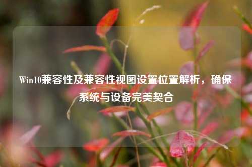 Win10兼容性及兼容性视图设置位置解析,确保系统与设备完美契合