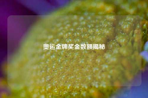奥运金牌奖金数额揭秘