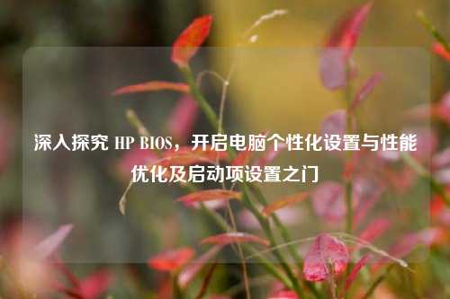 深入探究 HP BIOS,开启电脑个性化设置与性能优化及启动项设置之门