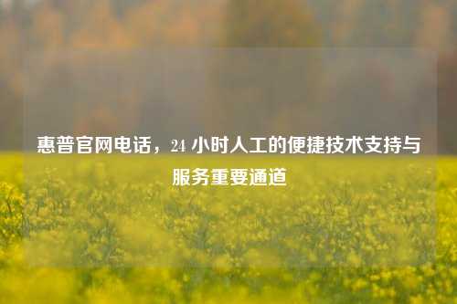 惠普官网电话，24 小时人工的便捷技术支持与服务重要通道