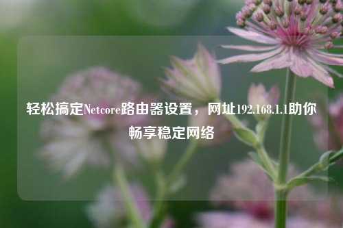 轻松搞定Netcore路由器设置，网址192.168.1.1助你畅享稳定网络