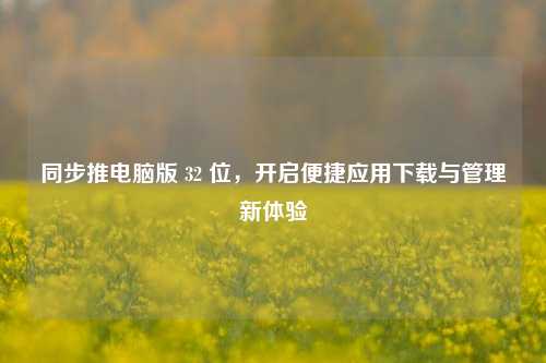 同步推电脑版 32 位，开启便捷应用下载与管理新体验