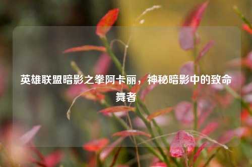 英雄联盟暗影之拳阿卡丽，神秘暗影中的致命舞者