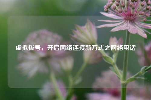 虚拟拨号,开启网络连接新方式之网络电话