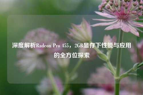 深度解析Radeon Pro 455，2GB显存下性能与应用的全方位探索