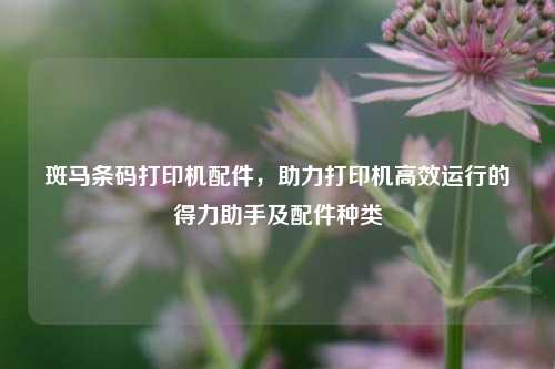 斑马条码打印机配件，助力打印机高效运行的得力助手及配件种类