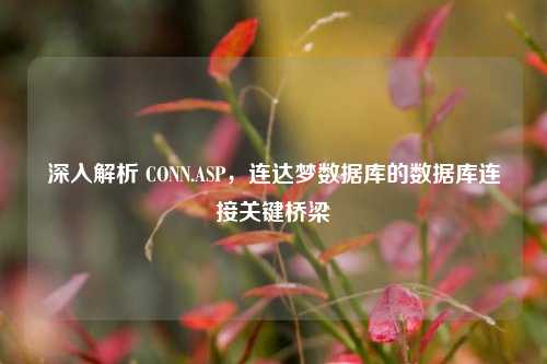 深入解析 CONN.ASP，连达梦数据库的数据库连接关键桥梁