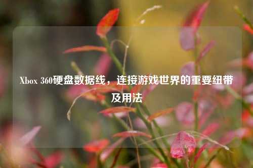 Xbox 360硬盘数据线，连接游戏世界的重要纽带及用法