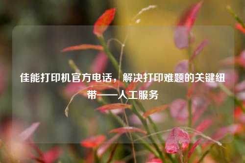 佳能打印机官方电话，解决打印难题的关键纽带——人工服务