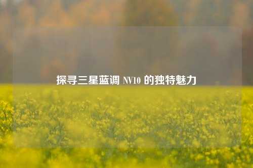 探寻三星蓝调 NV10 的独特魅力
